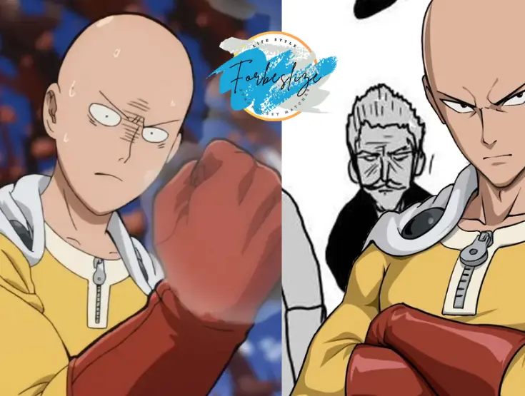 Where Does One Punch Man Anime End in Manga?